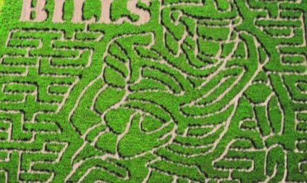 15 Great   Mazes – Only In Your State