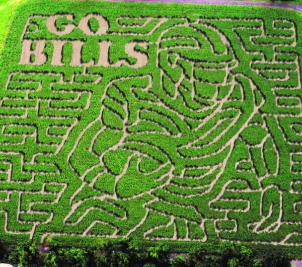 15 Great   Mazes – Only In Your State