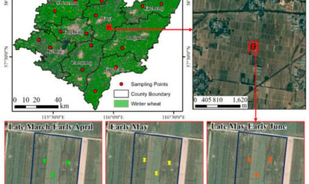 2020  Yield  – National Agricultural Statistics …