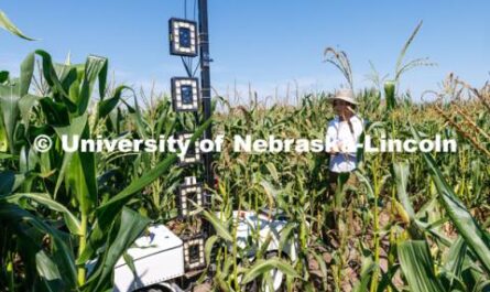 A Look At Nebraska’s Rich Family Farming Heritage