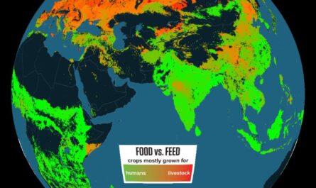 Agricultural  – Our World in Data