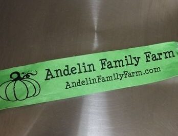 Andelin Family