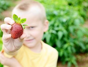 Brown & Brown  | Fresh Produce & Family Fun | Oxford, FL