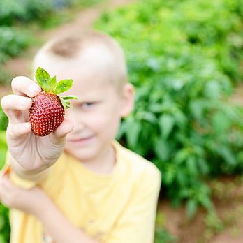 Brown & Brown  | Fresh Produce & Family Fun | Oxford, FL