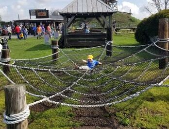 Cob Acres – Field of Fun > Things To Do In Lancaster PA