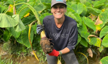 Family Farmer Focus: Sarah Greer –   Board