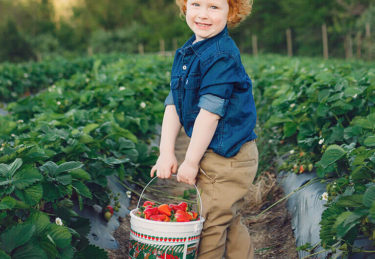 Find U-Pick  In Florida | Pick Your Own