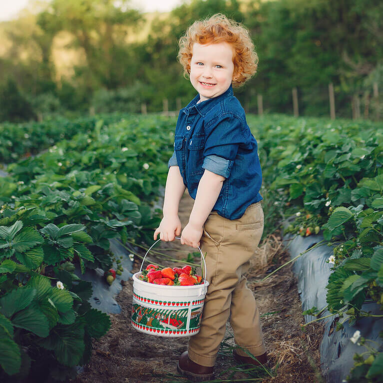 Find U-Pick  In Florida | Pick Your Own