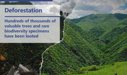 From the Ground Up: Demining Farmland and Improving Access to …