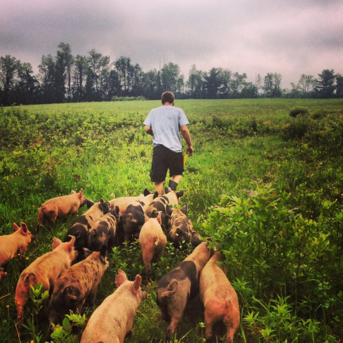 How  Farmers Aging Out Affects the Next Generation