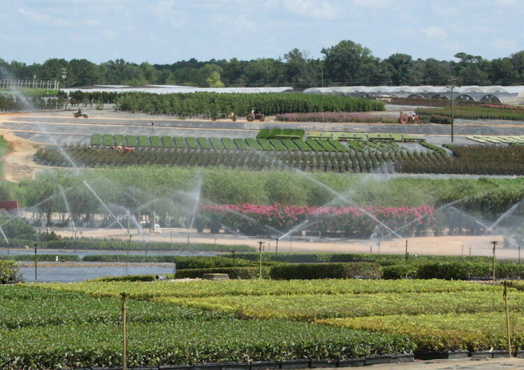 Readiness Plans Vital as Harvest Begins and COVID-19 Lingers