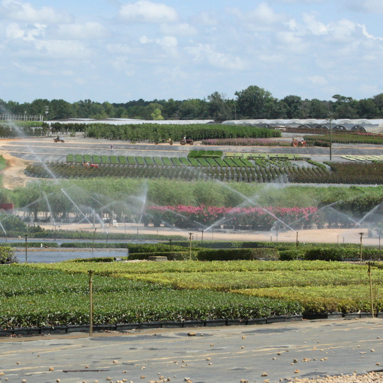 Readiness Plans Vital as Harvest Begins and COVID-19 Lingers