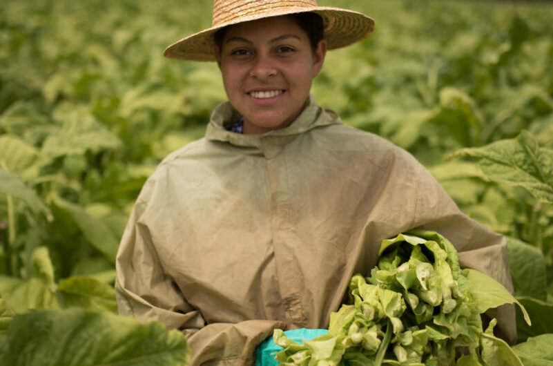 Take a Second for Safety During the 2021 Harvest Season