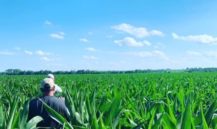 The Centuries-Long History of  Farming – Nebraska  Board