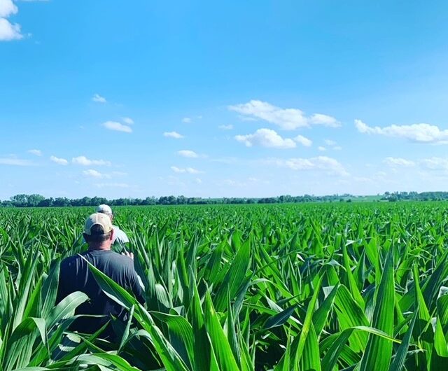 The Centuries-Long History of  Farming – Nebraska  Board