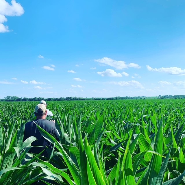 The Centuries-Long History of  Farming – Nebraska  Board