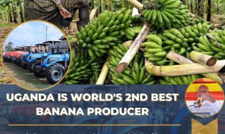 The World’s 6 Biggest  Producers –