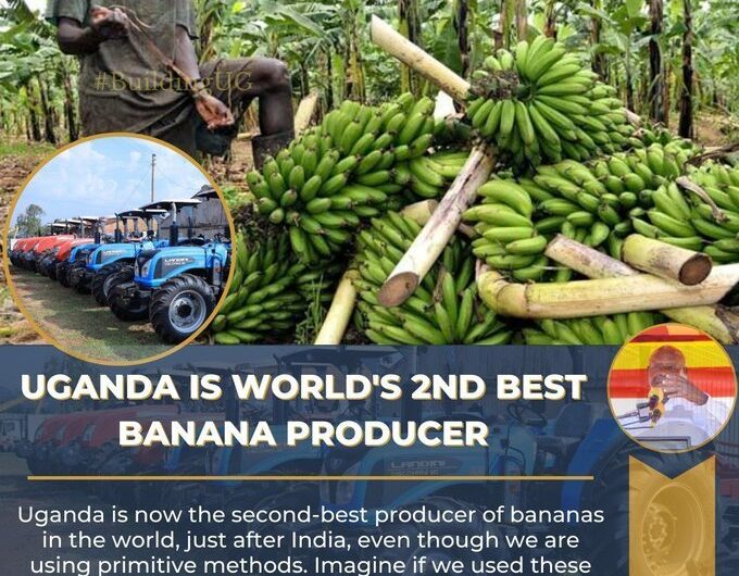 The World’s 6 Biggest  Producers –