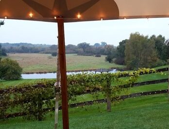 Unique Wedding Venue in Michigan | Zingerman’s Cornman