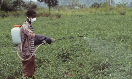 Why are Pesticides and Herbicides Used in Farming?