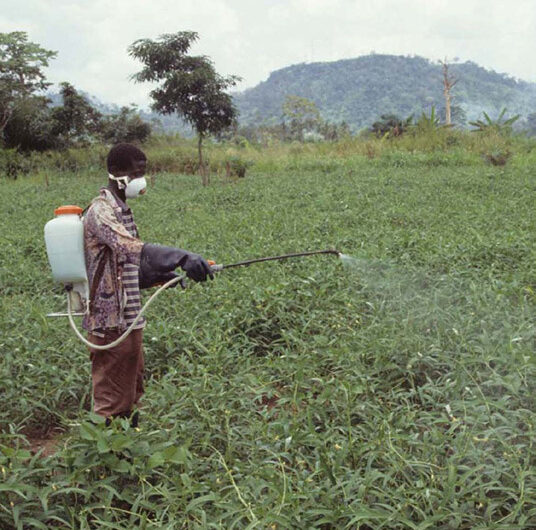 Why are Pesticides and Herbicides Used in Farming?