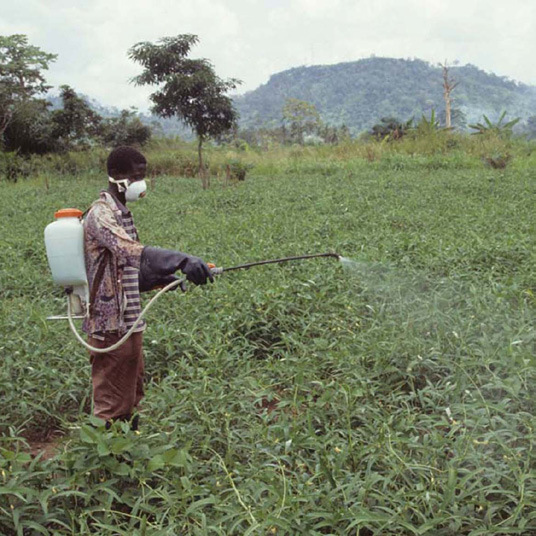 Why are Pesticides and Herbicides Used in Farming?