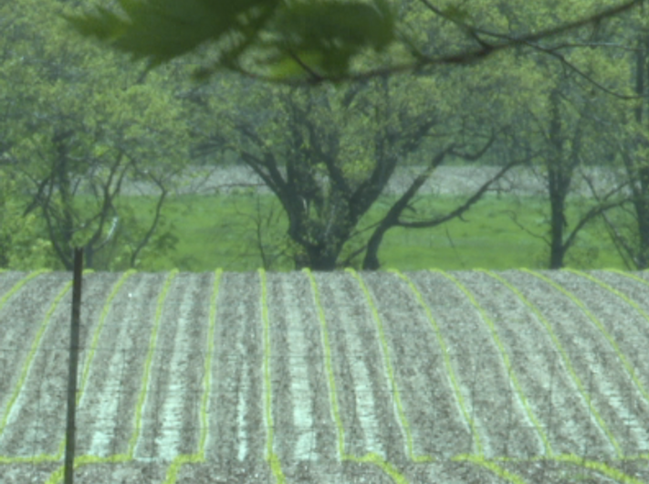 Why Farmers Plant  in April (or May)