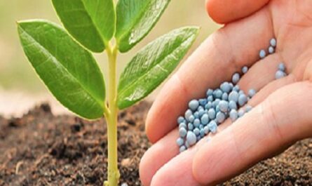 Why Type of Fertilizer is Best for  Farming?