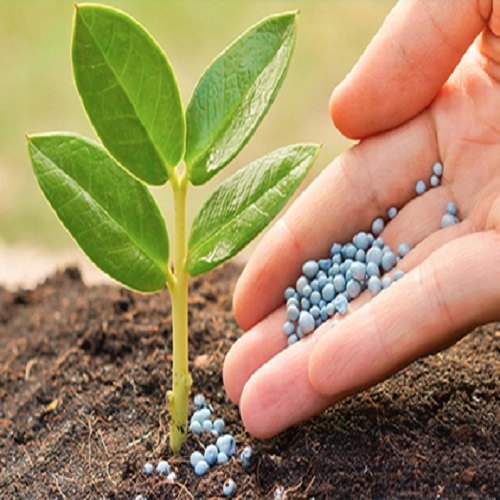 Why Type of Fertilizer is Best for  Farming?